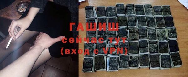индика Аркадак